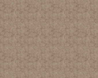[1001111157_58] Flotex Colour у рулоні - s290007 Calgary suede